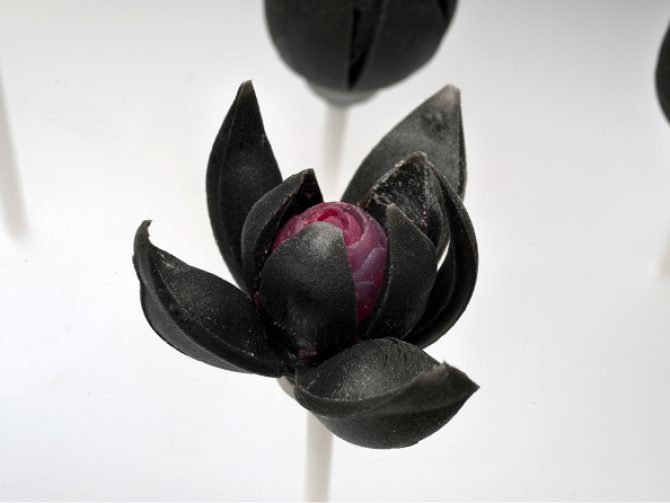 3D geprinte bloemen