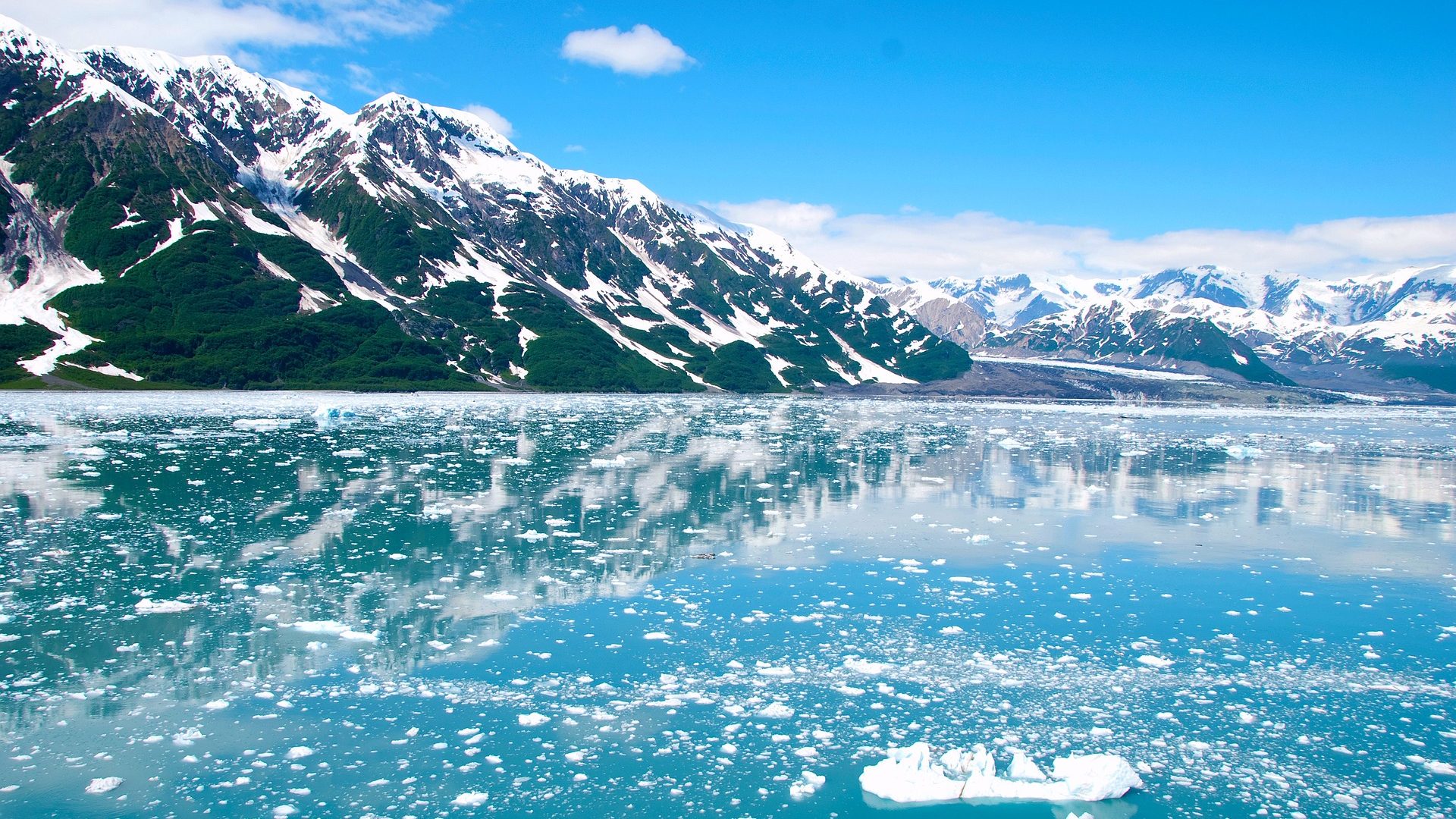 NASA data about melting ice caps