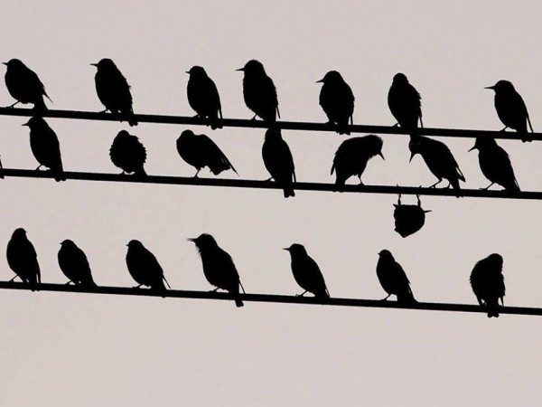 be different