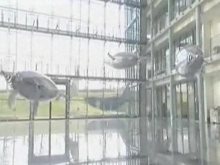 Eerste bionische pinguin een feit