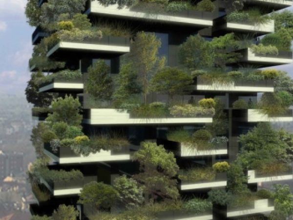 Vertical forest in Milan