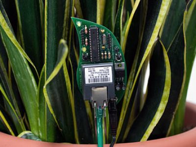 Botanicalls.com, je planten hebben je nummer