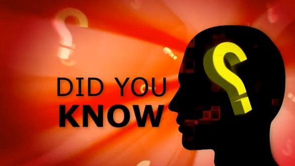 Did you know, menselijk kapitaal 2009
