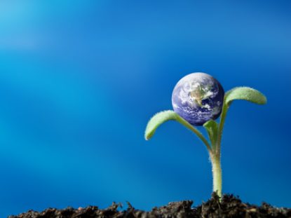 Trend: Ecolize growth