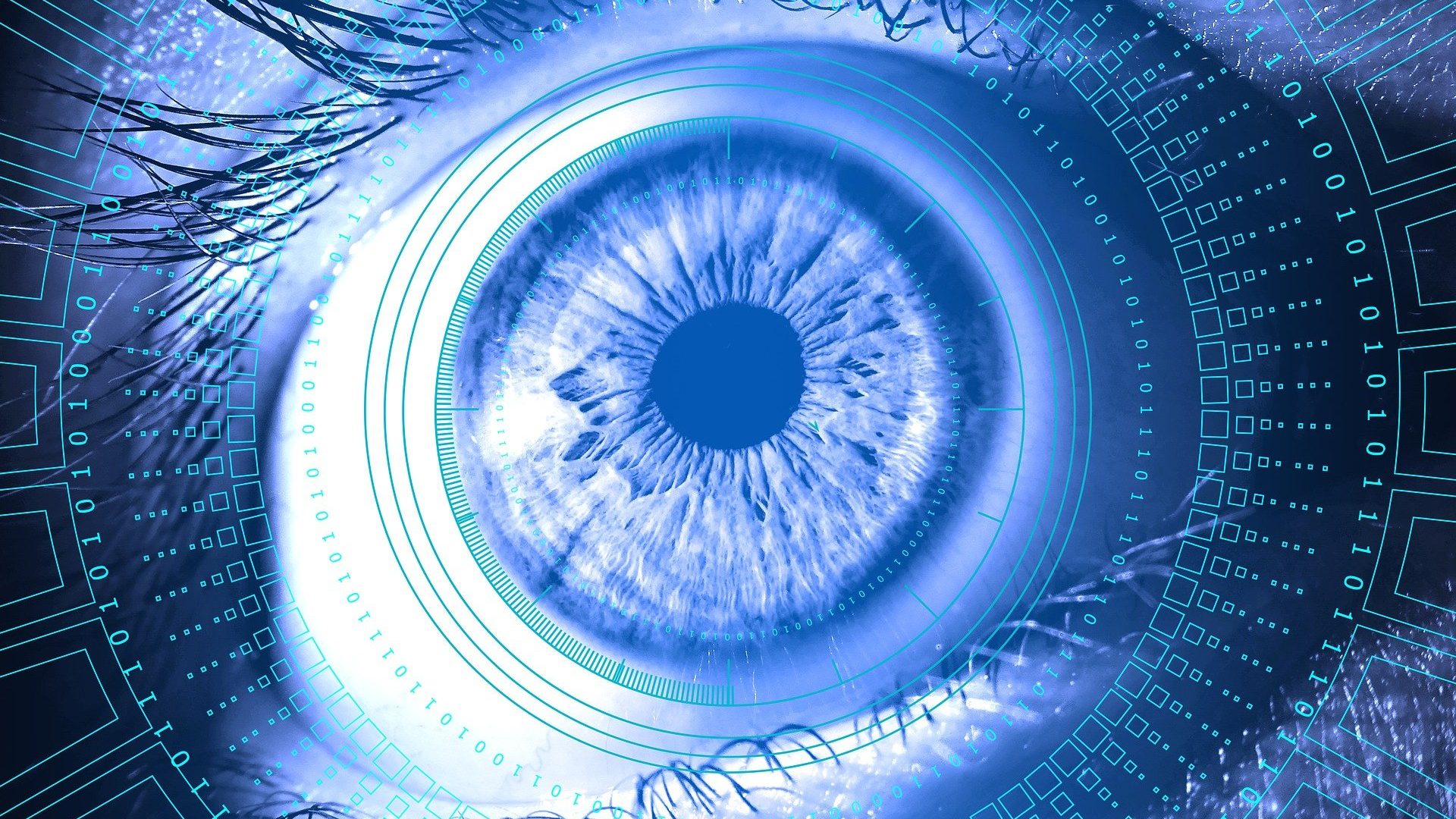 Edelman, het failliet van de informatiesamenleving