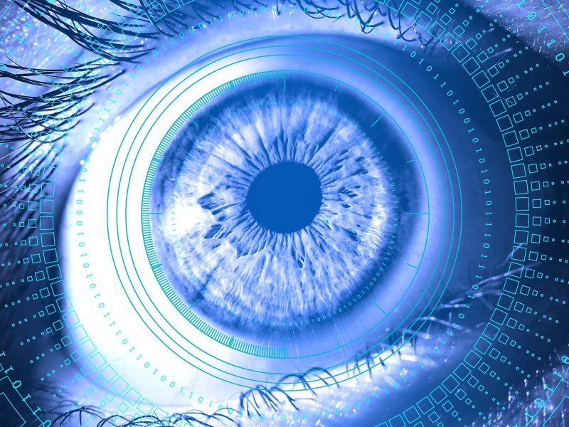 Edelman, het failliet van de informatiesamenleving