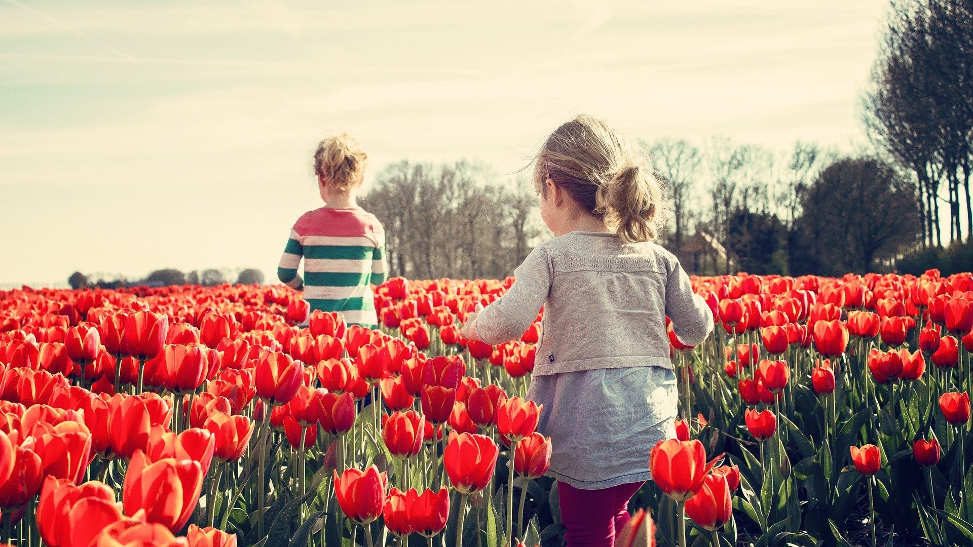 OESO rapport over kinderen en welbevinden