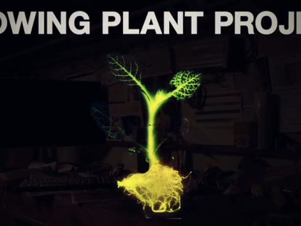 Natuurlijk licht via lichtgevende planten