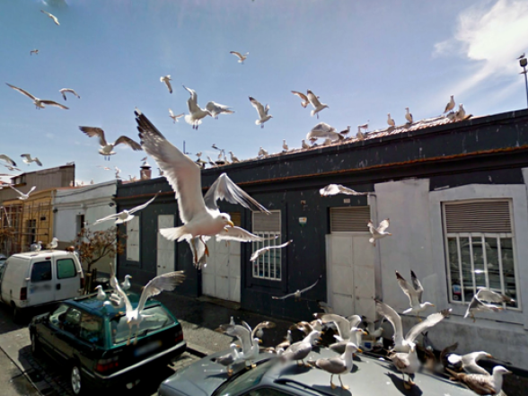 Stel je voor: Street view met geluid