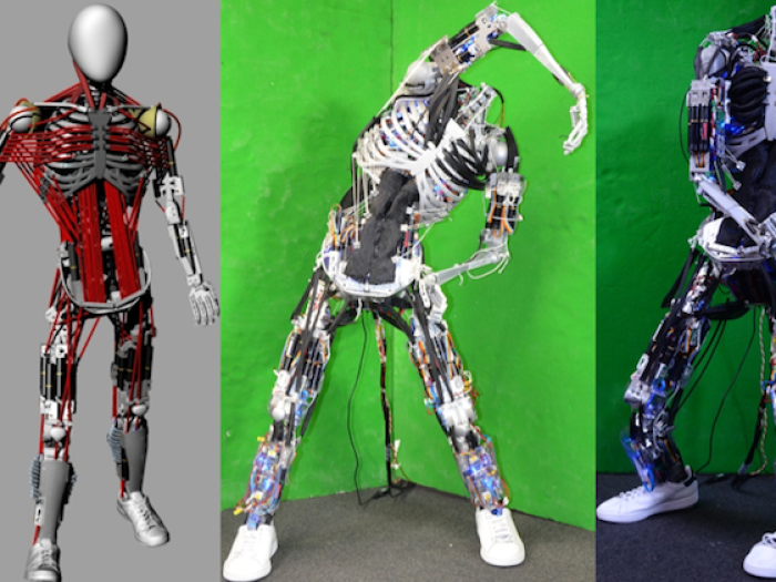Humanoids worden steeds menselijker