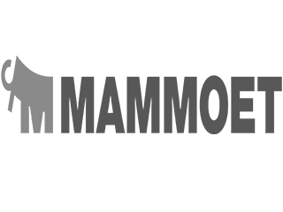 Mammoet
