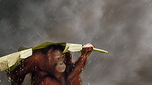 Selectie inspirerende foto's - quotes van de week (V)