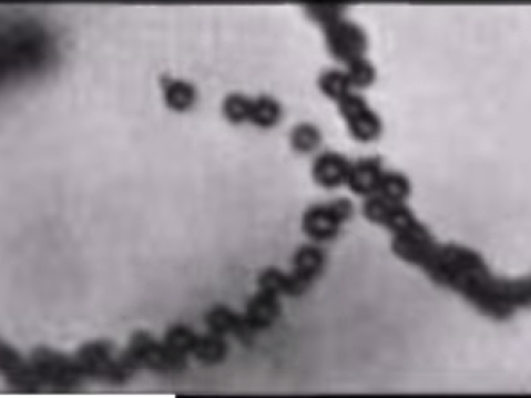 Energie voor nanorobots via ons maagzuur