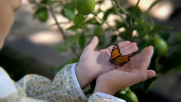 Olive: bioscoopfilm gemaakt met de smartphone