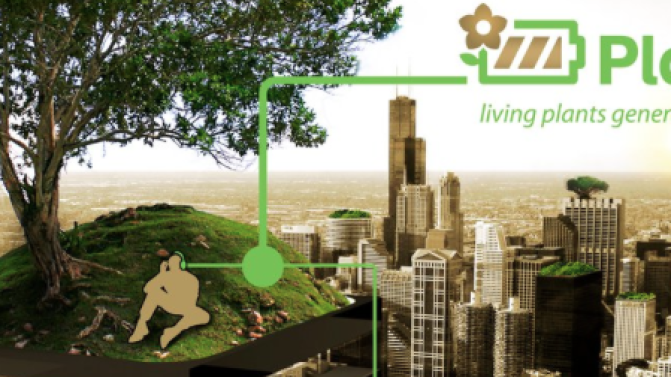 Living crops: next sustainable power source?