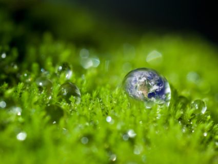 Trend: Mindful consumption