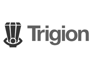 Trigion
