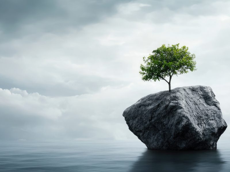 Rapport: Building Human Resilience, een sterk rapport gebouwd op een verkeerd uitgangspunt?
