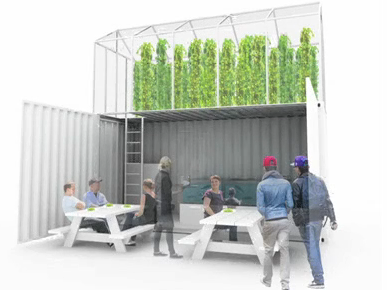 Oplossing voor leegstand kantoren: vertical farming?
